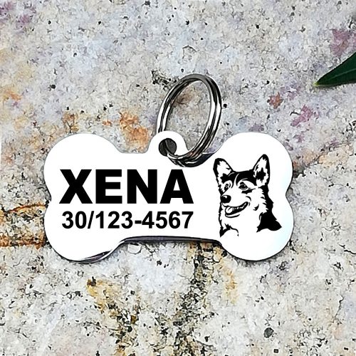 Welsh Corgi  nemesacél kutyabiléta 40x22mm